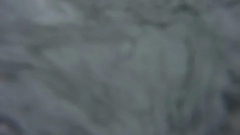 FPV, POV: Surf wipeout as breaking glassy wave crashes over a young male surfer Stock Footage 338361408