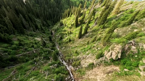 FPV shot flying over mountain stream and forest. High-speed drone dive into Stock Footage 288489067