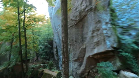 FPV speed flight into beautiful forest. Cinematic mystical wild woods and stone Stock-Footage 167925700