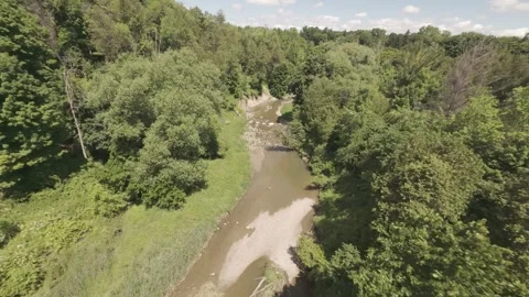 FPV Through Forest River Stock Footage 277463199