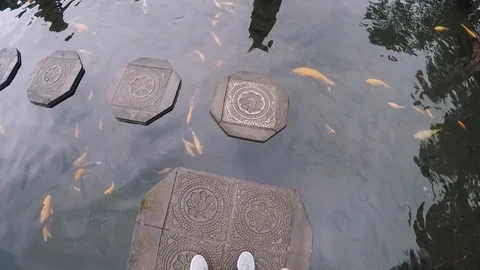 FPV top view: tourist walks along beautiful slabs in a pond with carps. Water Stock Footage 88557683