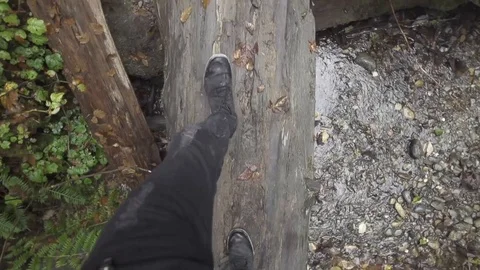 FPV Walking Across Log in Forest Slow Motion Stock Footage 98861438
