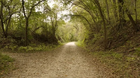 FPV walking on a path 스톡 동영상 111645112