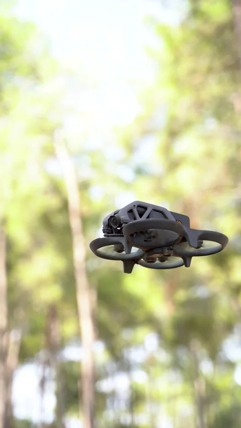 FPV IN THE WOODS Stock Footage 222814002