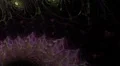 Fractal art in slow seamless looping motion HD Footage