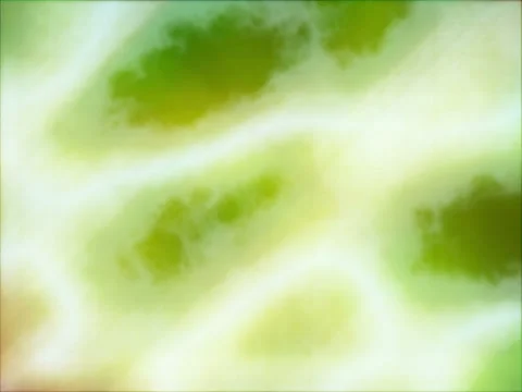 Fractal Background Stock Footage 31749572