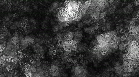 Fractal Bacteria 01 (1080p 29.97) Video stock 285053
