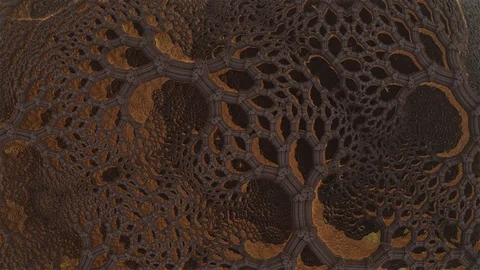 Fractal biology Stock Footage 101454673