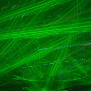 Fractal on black Stock Illustration