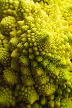 Fractal Cauliflower Stock Photos