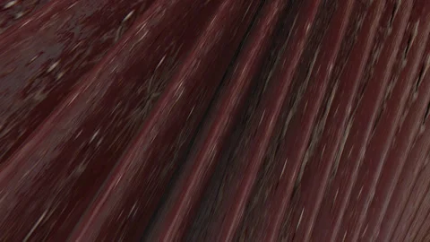Fractal complex color - digital artwork for creative graphic design Stock Footage 248374668