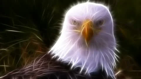 Fractal Eagle Stock Footage 12589036