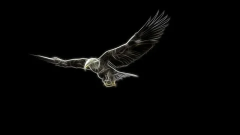 FRACTAL EAGLE HUNTING Stock Footage 194431647