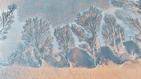 Fractal Erosion Patterns of Tide Trees on a Sandy Beach in Zhejiang China Stock-Footage 347107712