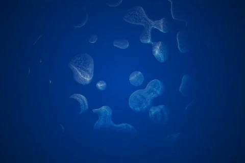 Fractal Flow background loop Stock Footage 649238