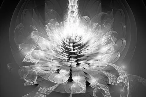 Fractal flower intensity map, black and white Stock Illustration