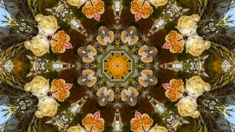 Fractal of flowers at a wedding at sunset Stock Footage 104375741