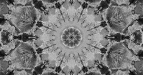 Fractal 스톡 동영상 154981210