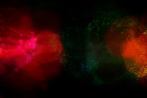 Fractal form background loop Stock Footage 658776
