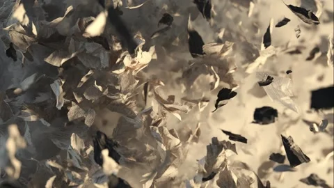 Fractal Fragment of Reflection Video stock 308246722