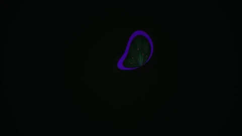 Fractal Geometric Glowing Pattern in Purple and Green Digital Motion on Dar.. Stock Footage 343698506