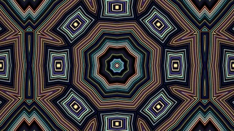 Fractal Lines 10 Stock Footage 103104736