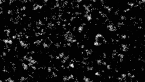 Fractal Noise: Dynamic Progressive Variation 004 - Spline Stock Footage 167622060