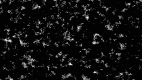 Fractal Noise: Dynamic Twist Variation 004 - Spline 스톡 동영상 167622845