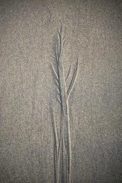 Fractal patterns created in the sand by the recession of tidal waters Foto stock