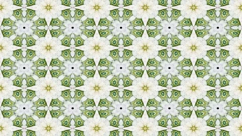 Fractal radial pattern on the subject of science, technology and design Stock Footage 82602922