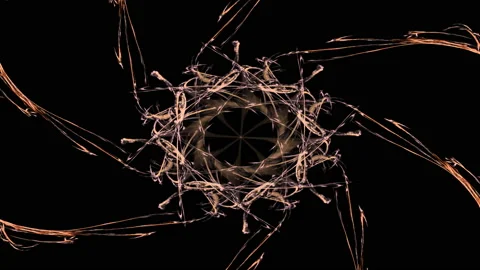 Fractal radial pattern on the subject of science, technology and design Stock Footage 220677885