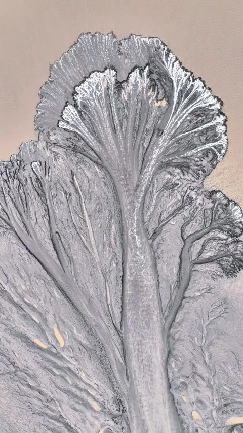 Fractal Sand Erosion Patterns of a Tide Tree on a Muddy Beach Zhejiang China 動画素材 347107645