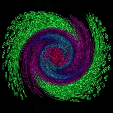 Fractal spiral on a black background Stock Footage 69492656