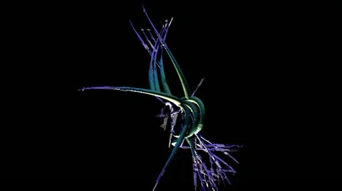 Fractal Structures Animation Stock Footage 21463792