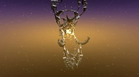 Fractal Structures Animation Stock Footage 21464637