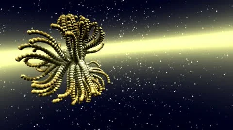 Fractal structures animation Stock-Footage 21620851