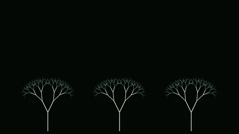Fractal tree growing animation mathematical pattern 4K Vídeos de archivo 336516642