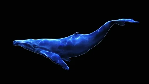 Fractal Whale Stock Footage 194478394