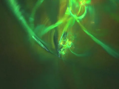 Fractal world Stock Footage 80463187