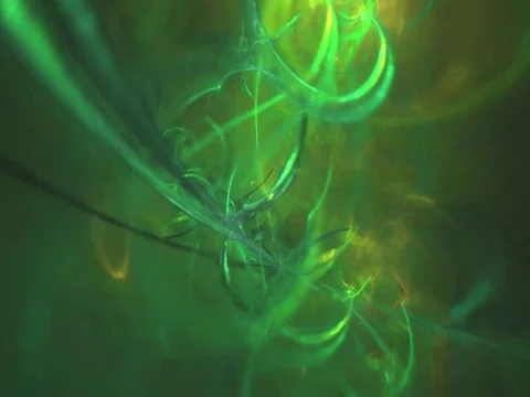 Fractal world Stock Footage 80463204