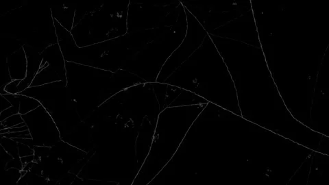 Fractured glass effect for overlay or background Видео 302481869
