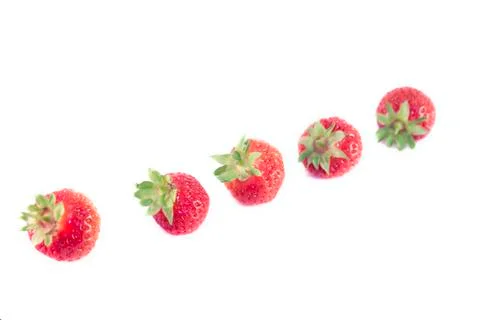 Fragaria ananassa isolated Stock Photos