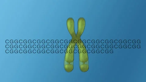 Fragile X, CGG Pattern and Boy's Face Stock-Footage 194823681