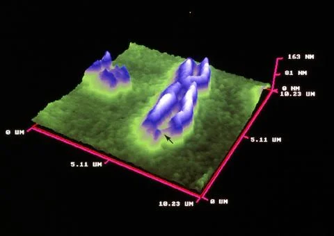 Fragile X chromosome, atomic force microscope 스톡 일러스트