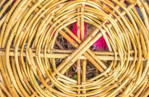 Fragment of a basket woven from twigs in the form of a circle Stock Photos
