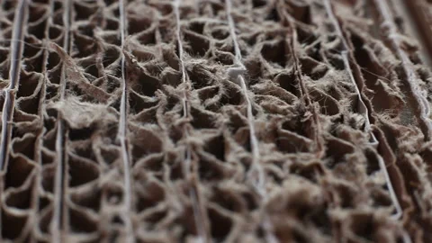 Fragment of cardboard close up Stock Footage 141662926