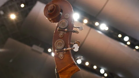 Fragment of a cello close up. contrabass performs on stage Stock Footage 312034041