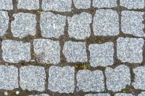 Fragment of cobbled pavement. Stock Photos