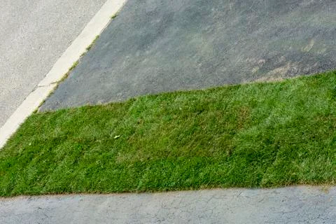Fragment of the finished plot with new grass Stock Photos