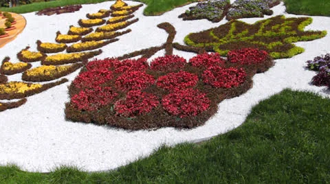 Fragment Flower Clock Zoom In Stock Footage 26738901